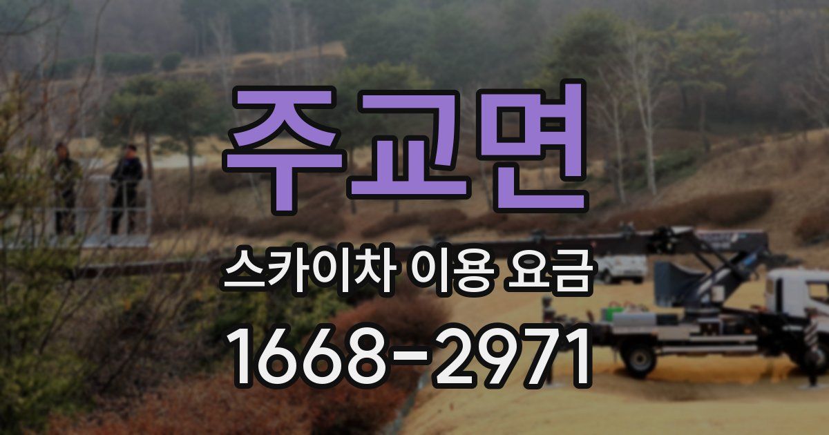 주교면 스카이차 이용 요금