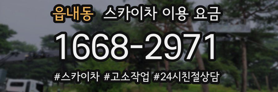 읍내동 스카이차 이용 요금