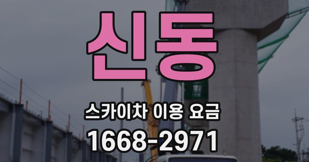 신동 스카이차 이용 요금