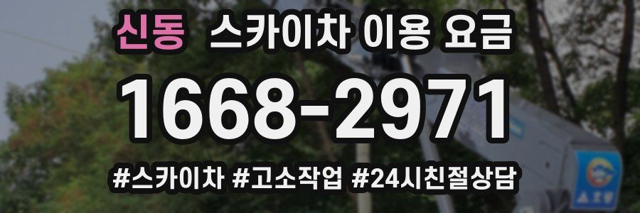 신동 스카이차 이용 요금