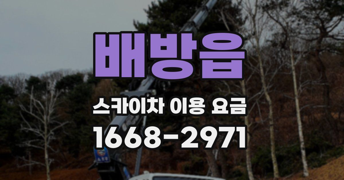 배방읍 스카이차 이용 요금