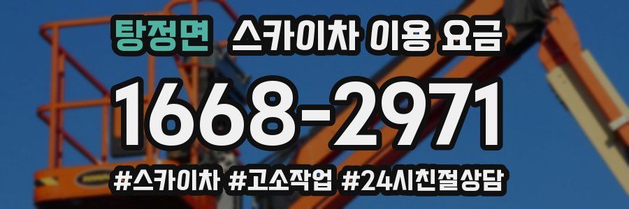 탕정면 스카이차 이용 요금
