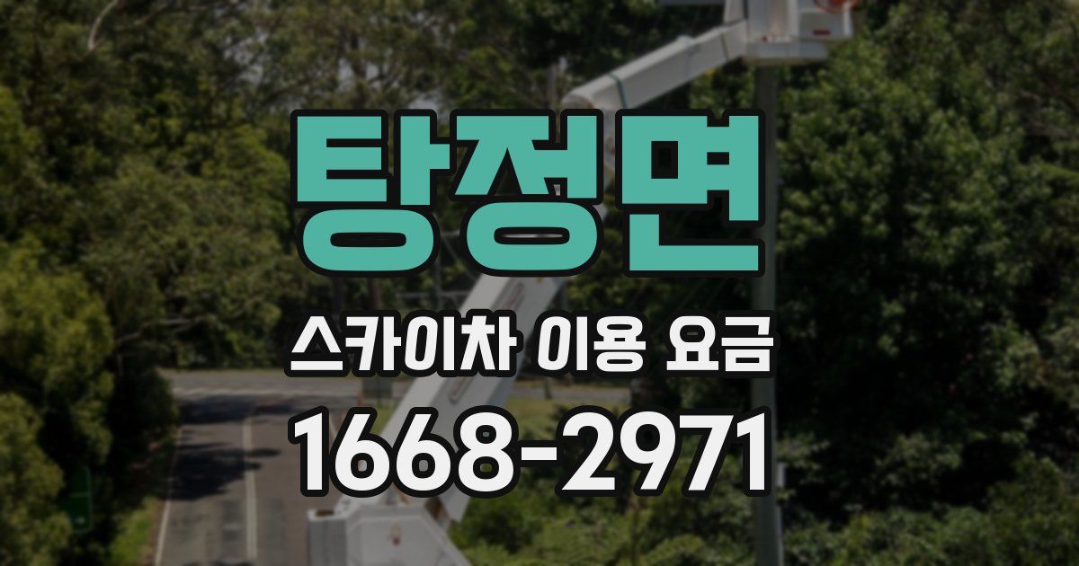 탕정면 스카이차 이용 요금