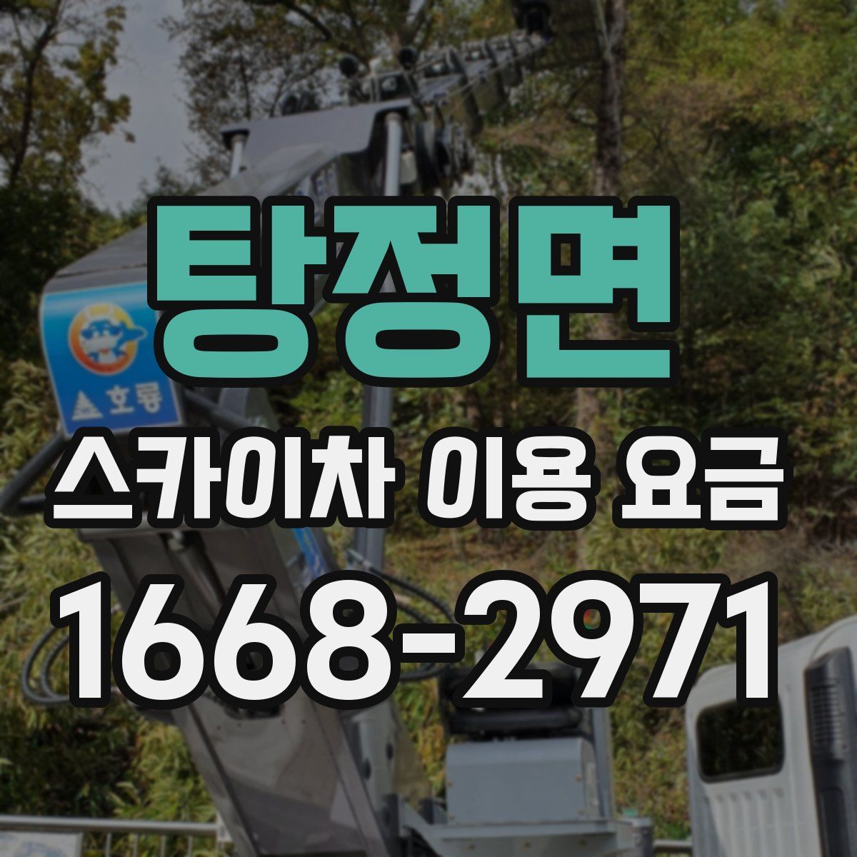 탕정면 스카이차 이용 요금