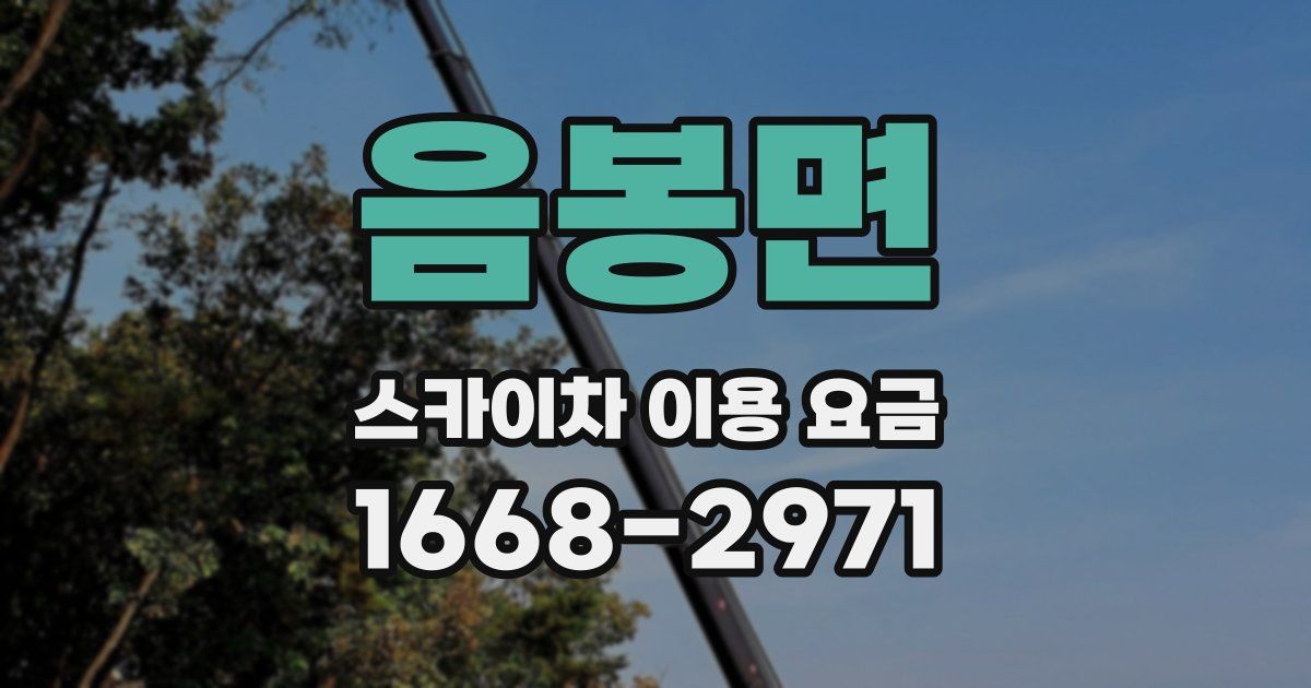 음봉면 스카이차 이용 요금