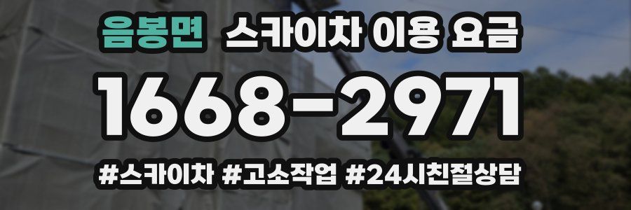 음봉면 스카이차 이용 요금