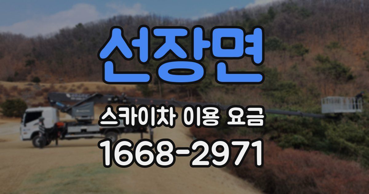 선장면 스카이차 이용 요금