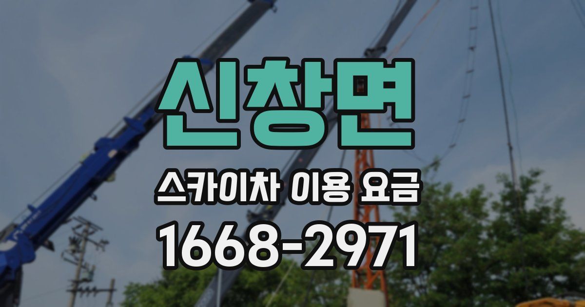 신창면 스카이차 이용 요금