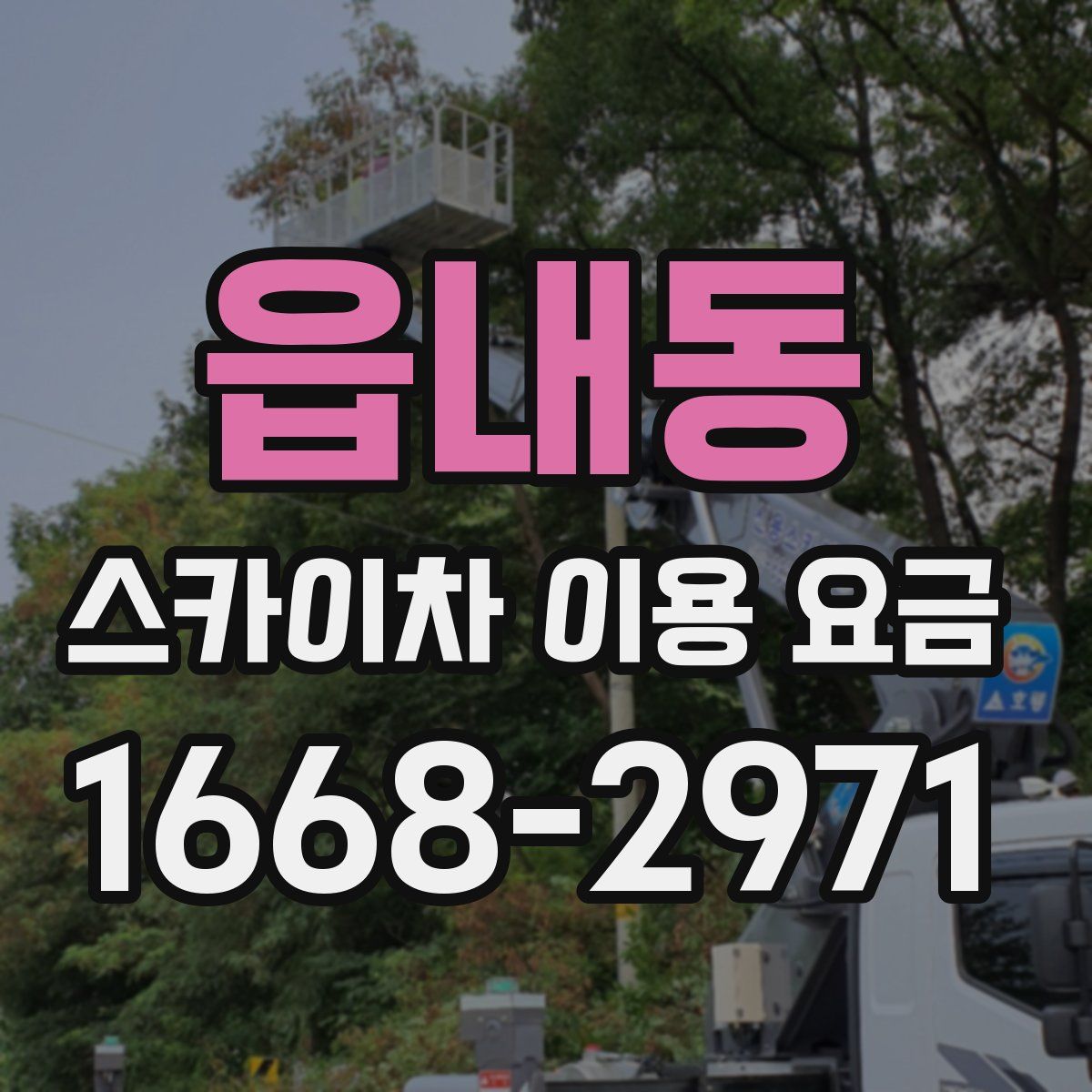 읍내동 스카이차 이용 요금