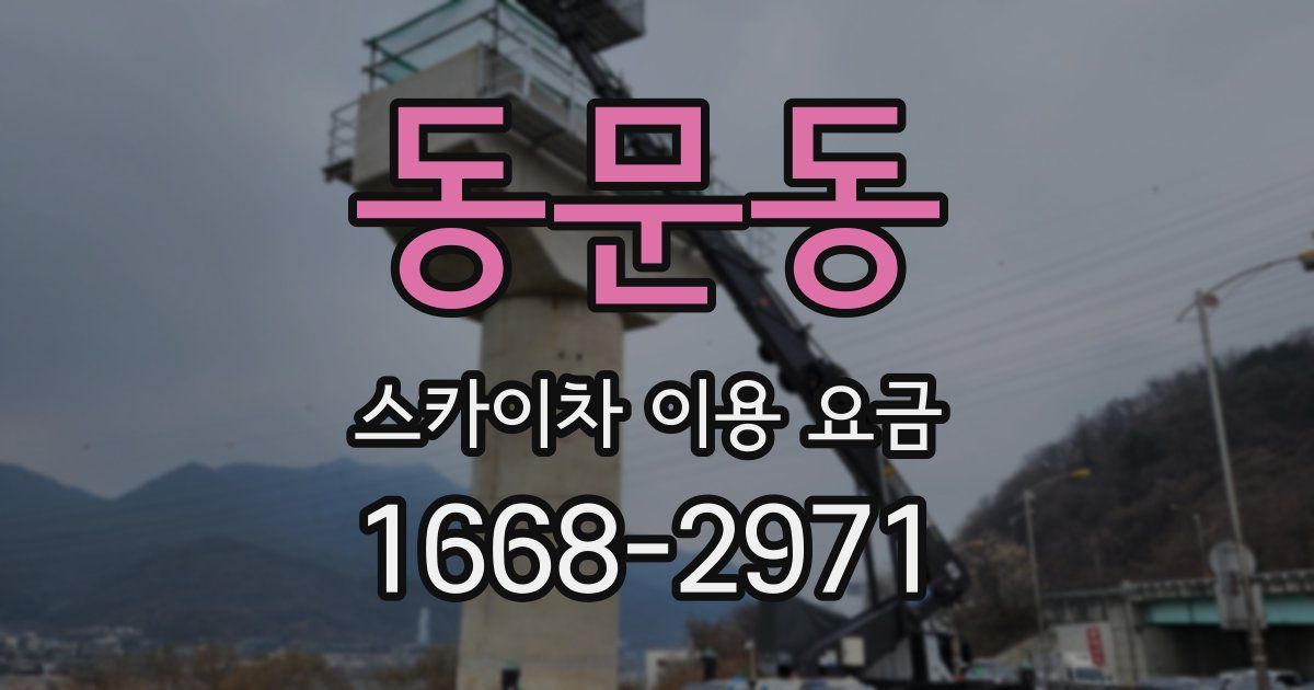 동문동 스카이차 이용 요금