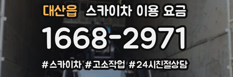 대산읍 스카이차 이용 요금