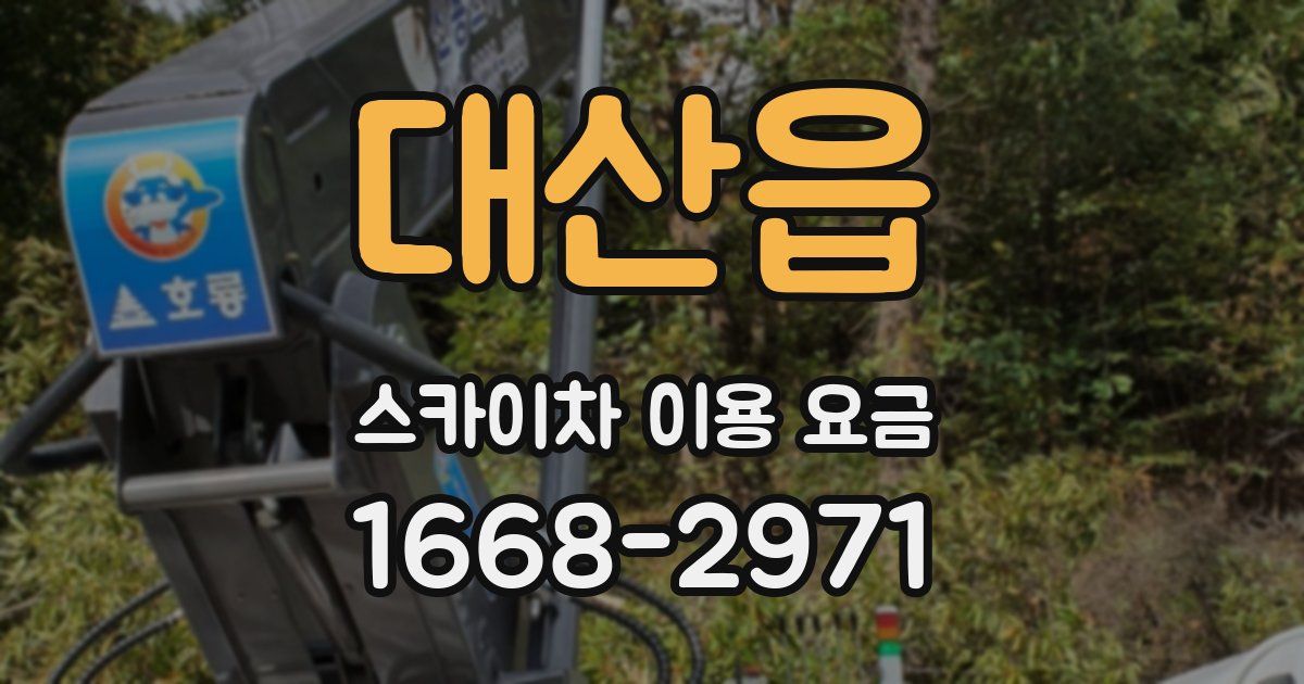 대산읍 스카이차 이용 요금