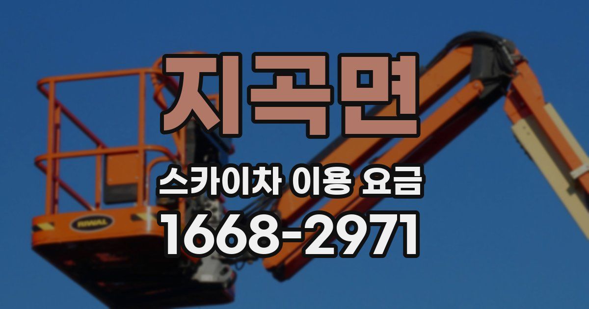 지곡면 스카이차 이용 요금
