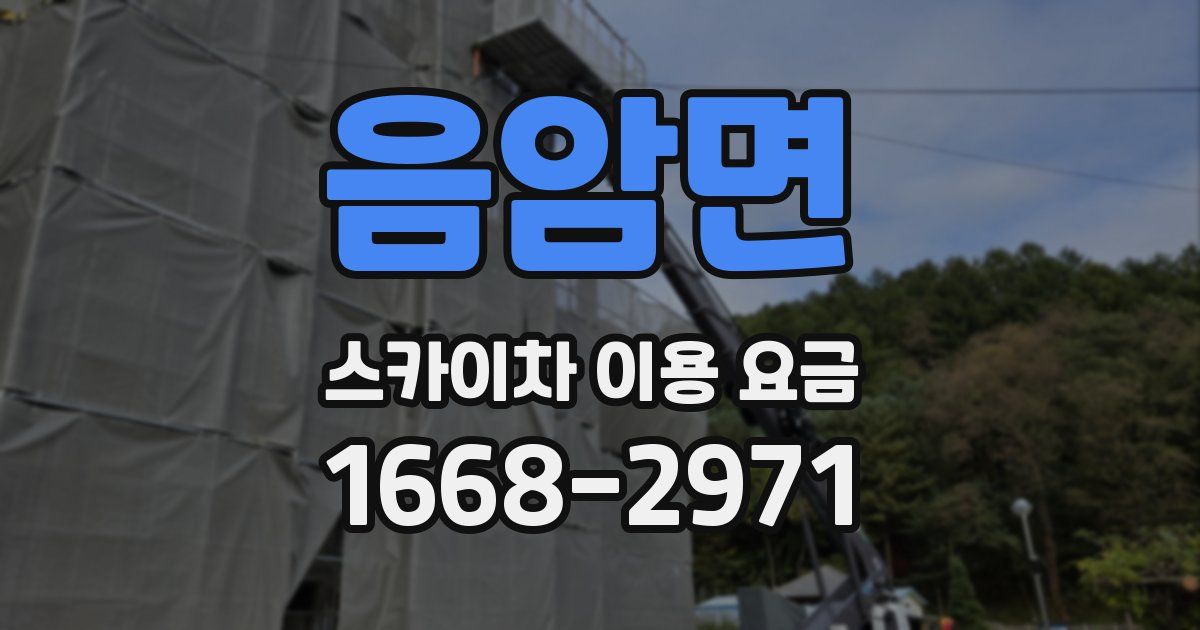 음암면 스카이차 이용 요금