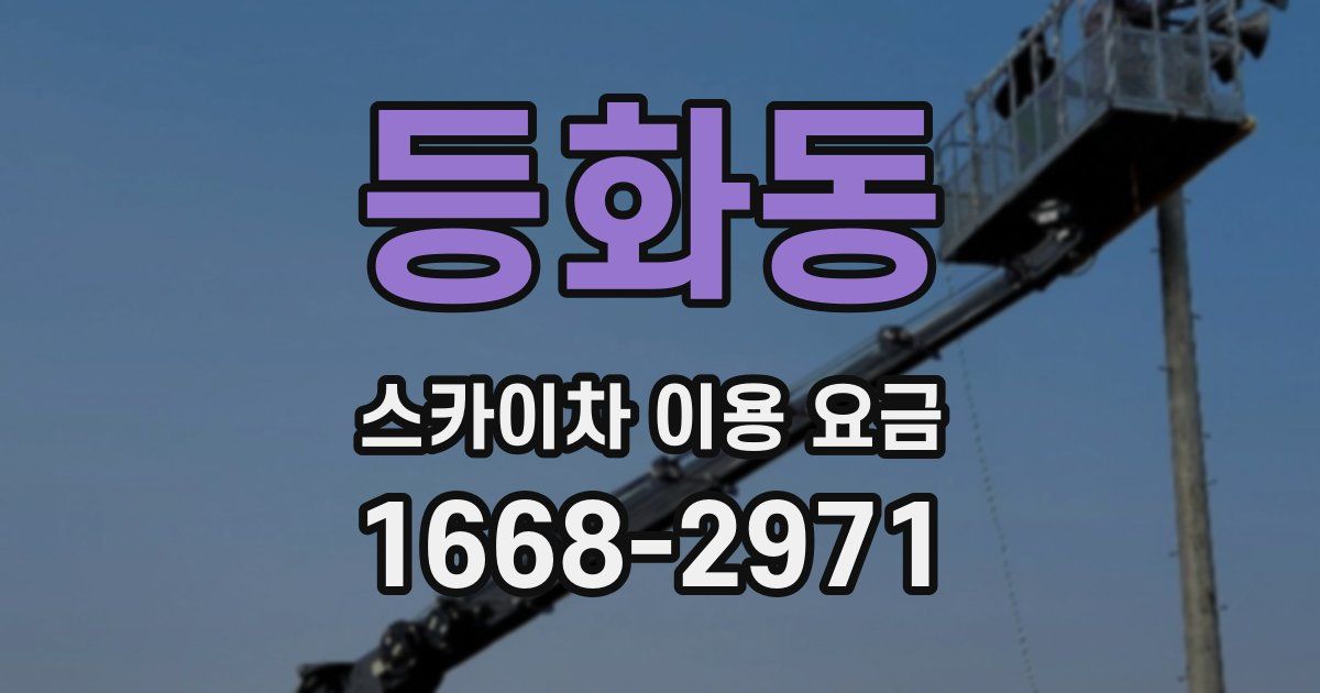 등화동 스카이차 이용 요금