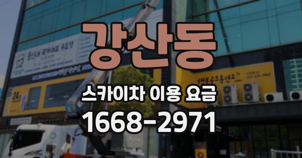 강산동 스카이차 이용 요금