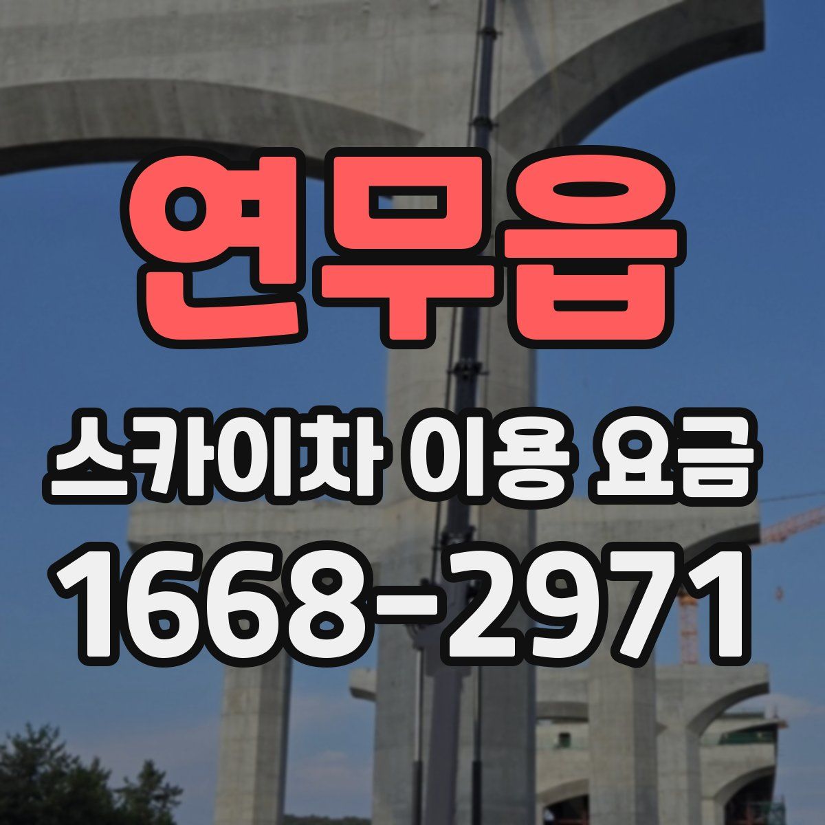연무읍 스카이차 이용 요금