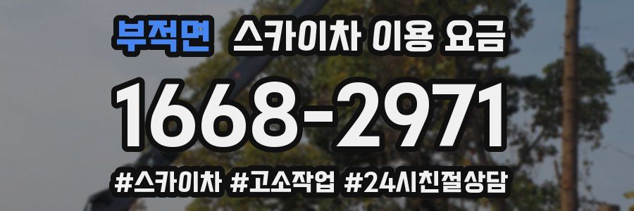 부적면 스카이차 이용 요금
