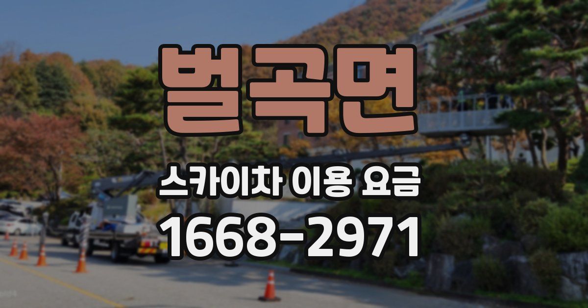 벌곡면 스카이차 이용 요금