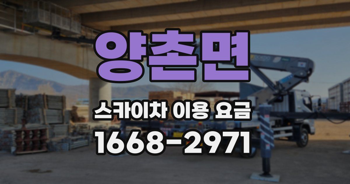 양촌면 스카이차 이용 요금