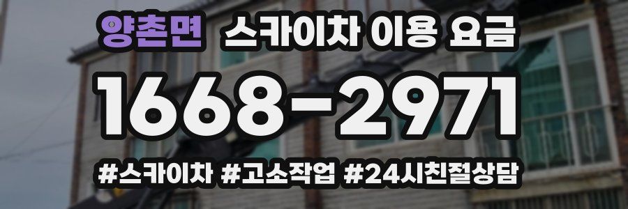 양촌면 스카이차 이용 요금