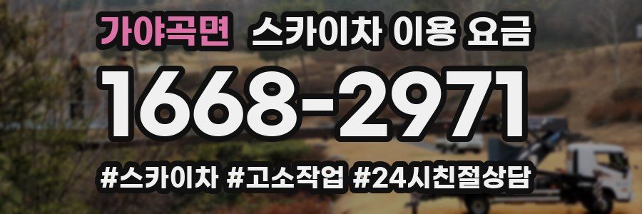 가야곡면 스카이차 이용 요금