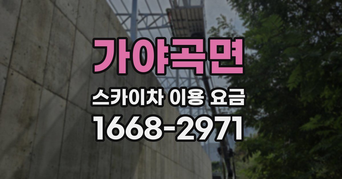 가야곡면 스카이차 이용 요금