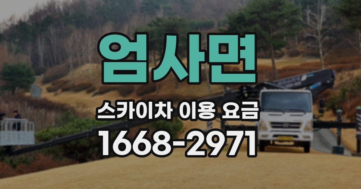 엄사면 스카이차 이용 요금