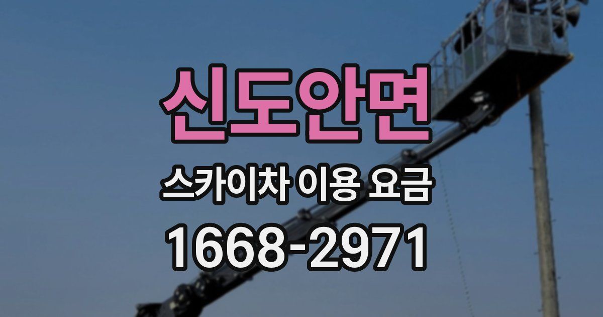 신도안면 스카이차 이용 요금