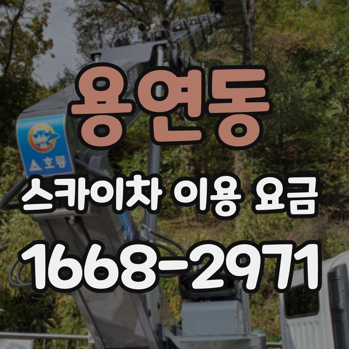 용연동 스카이차 이용 요금