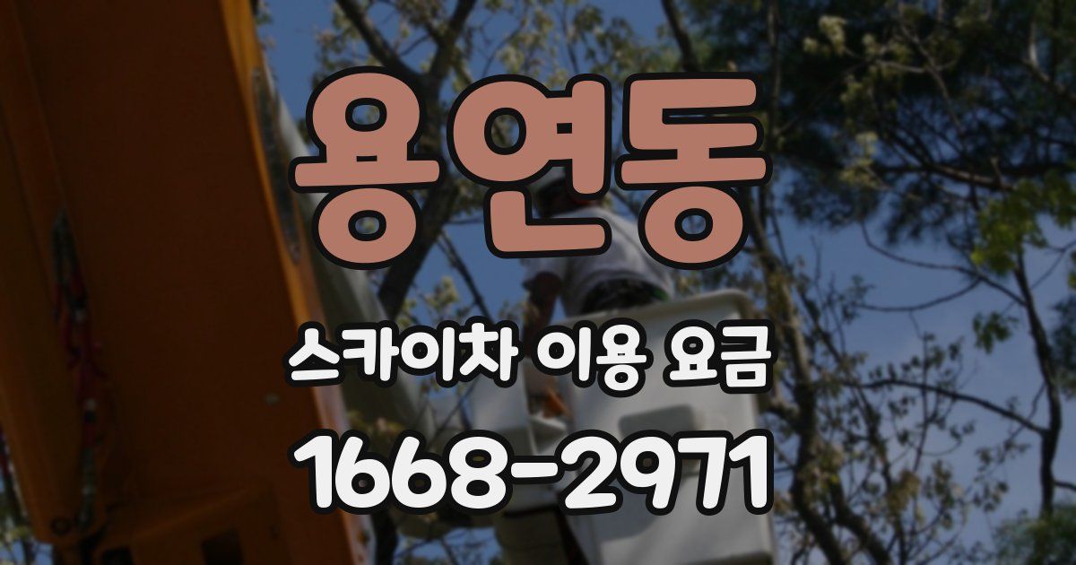 용연동 스카이차 이용 요금