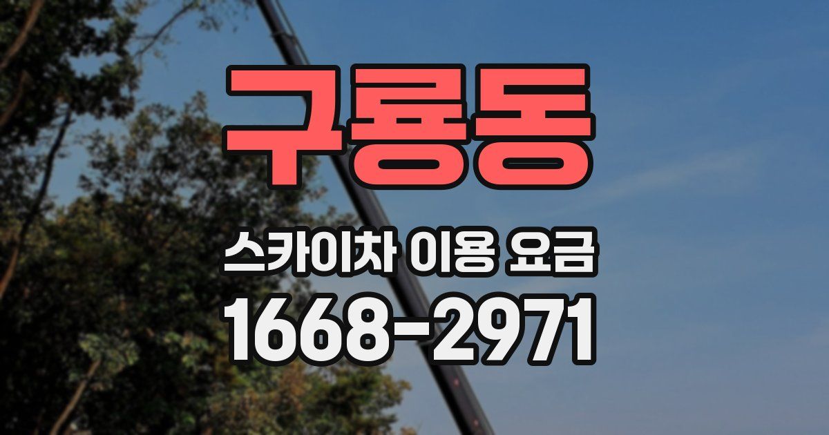 구룡동 스카이차 이용 요금