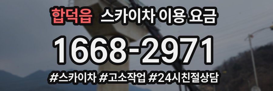 합덕읍 스카이차 이용 요금