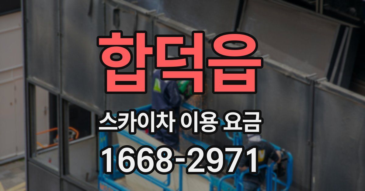 합덕읍 스카이차 이용 요금