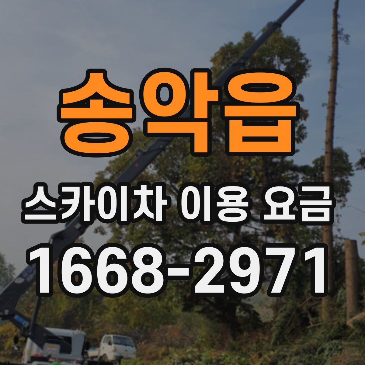 송악읍 스카이차 이용 요금