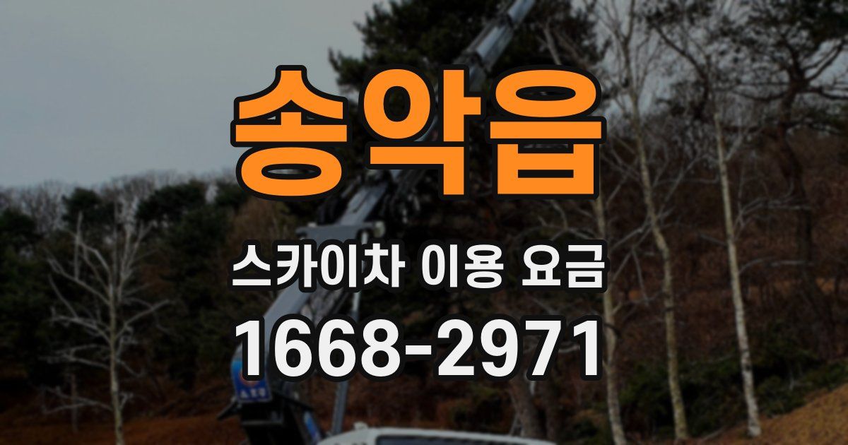 송악읍 스카이차 이용 요금