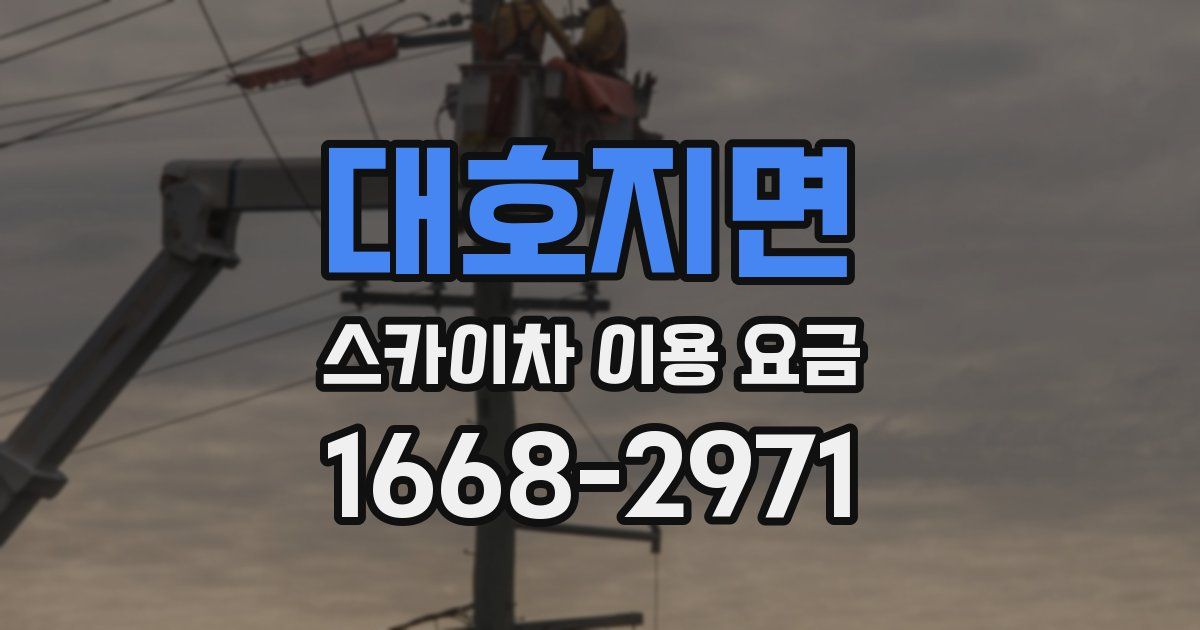 대호지면 스카이차 이용 요금
