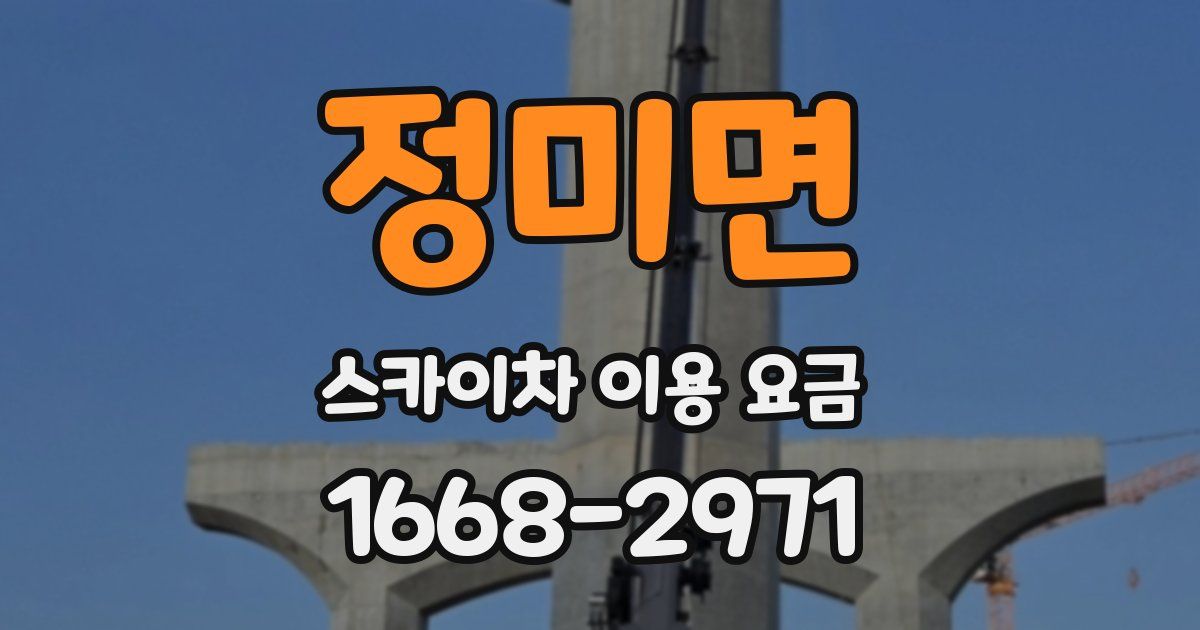 정미면 스카이차 이용 요금