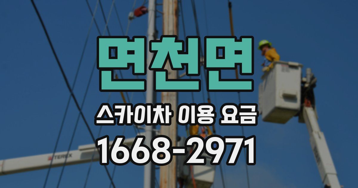 면천면 스카이차 이용 요금