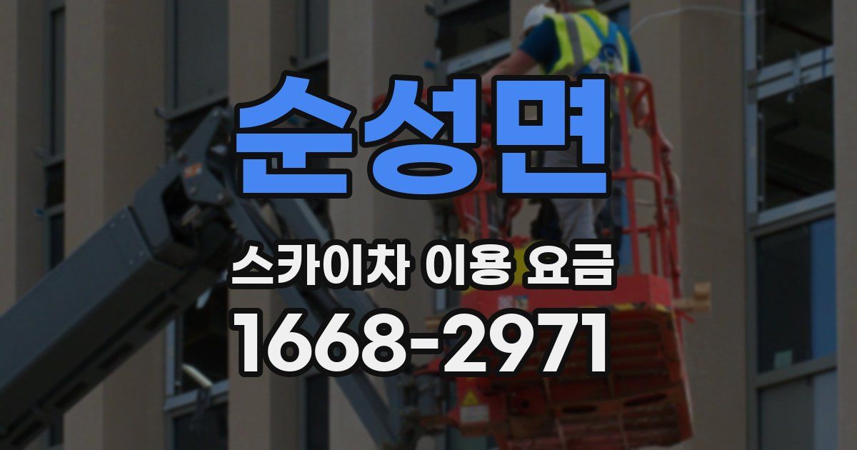 순성면 스카이차 이용 요금
