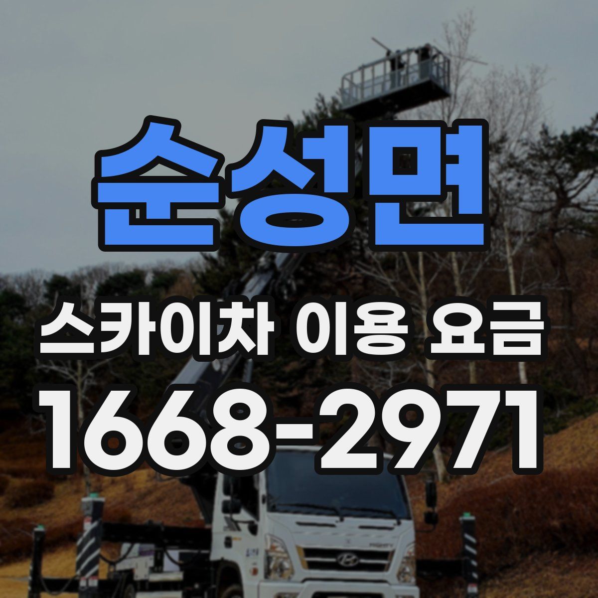 순성면 스카이차 이용 요금