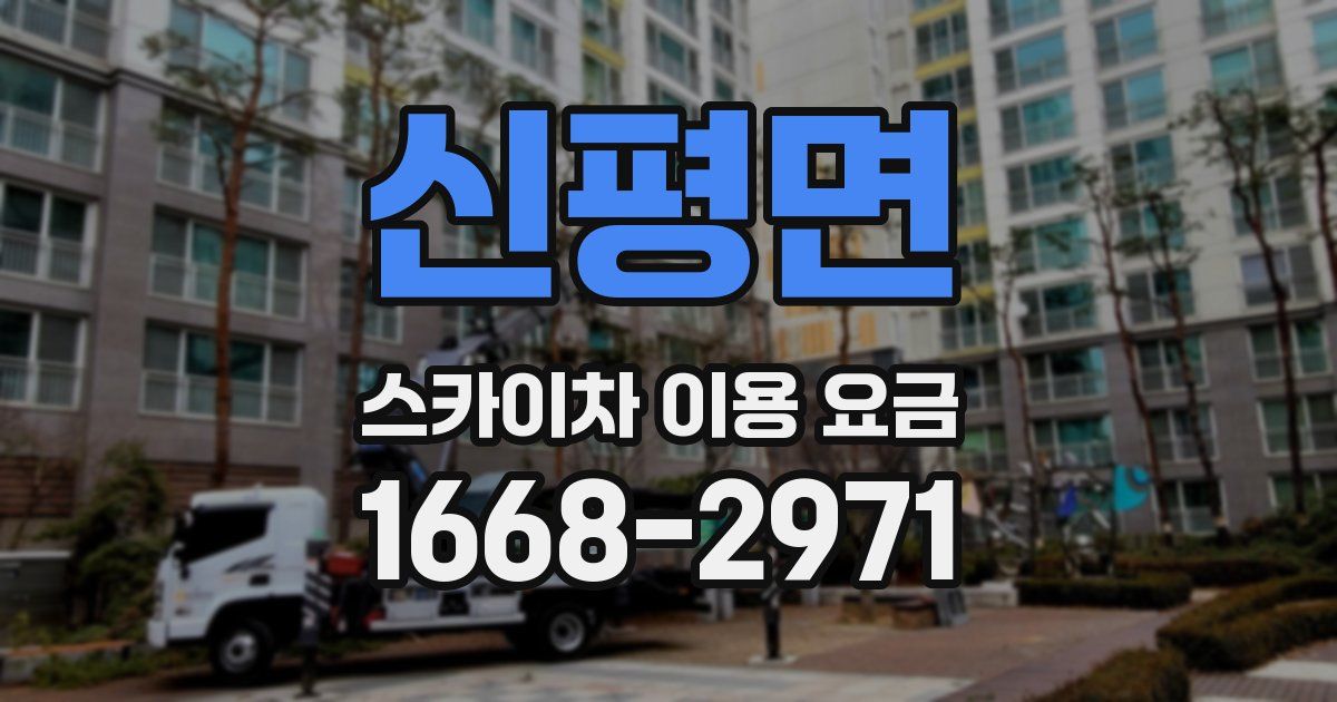 신평면 스카이차 이용 요금
