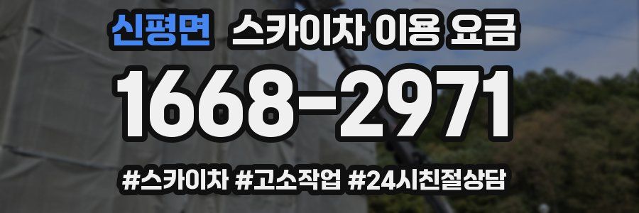 신평면 스카이차 이용 요금
