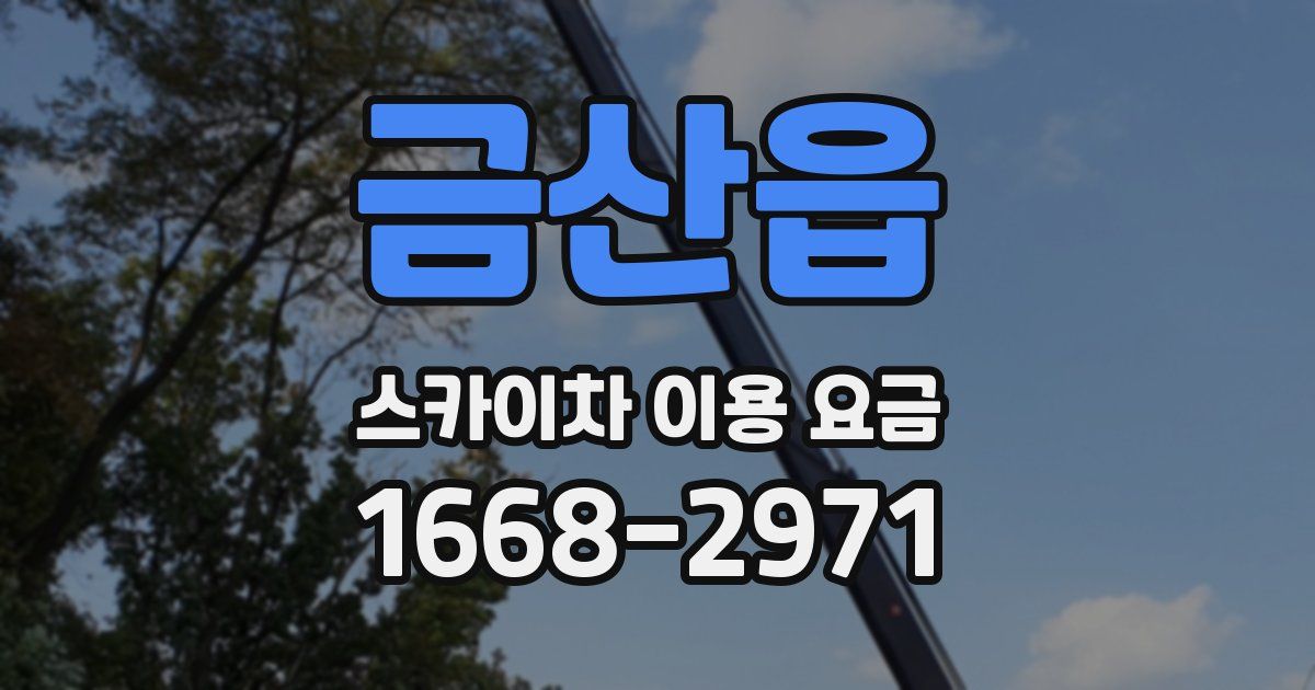 금산읍 스카이차 이용 요금