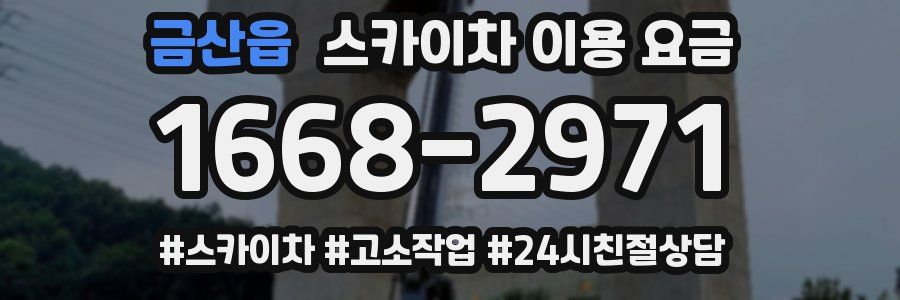 금산읍 스카이차 이용 요금