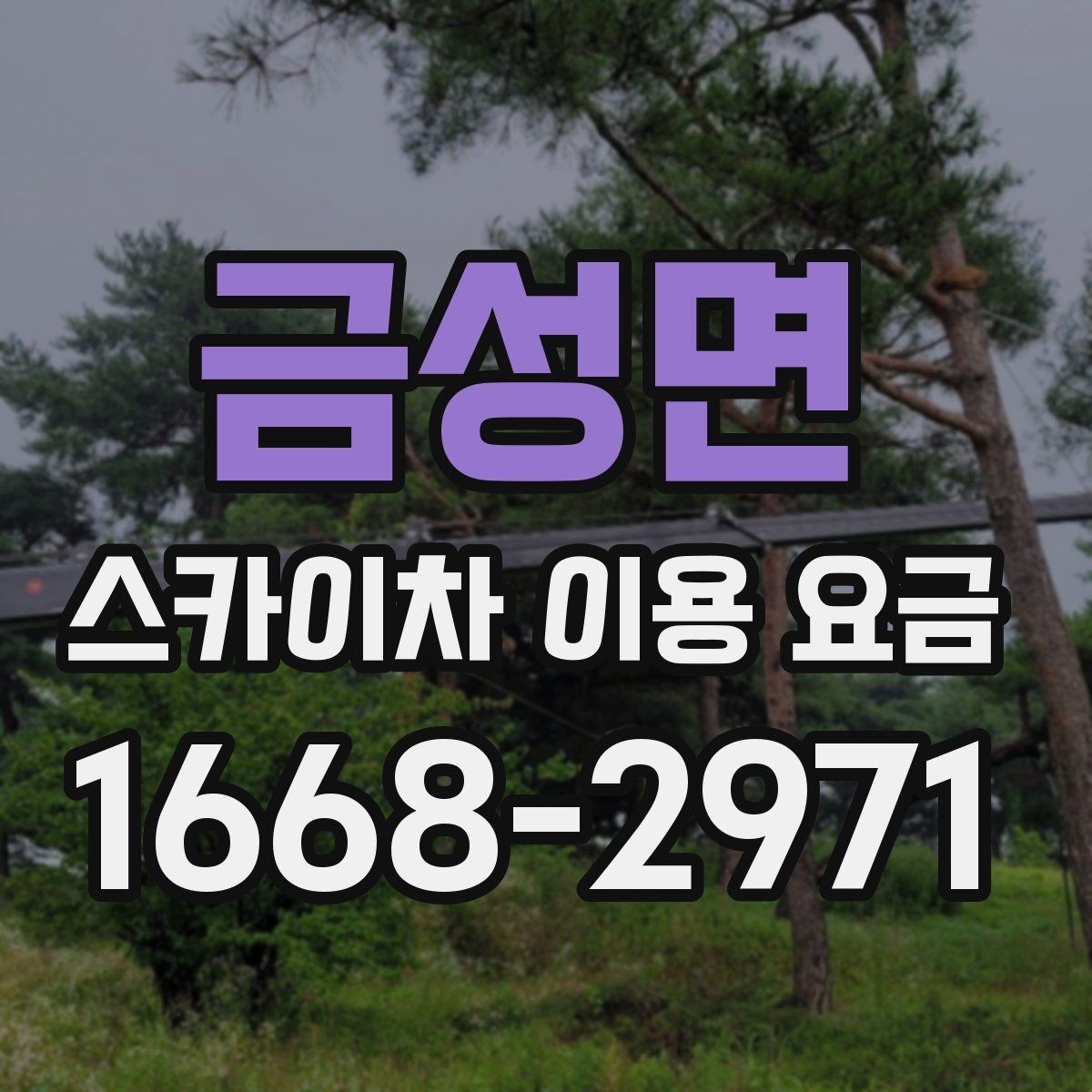 금성면 스카이차 이용 요금 비교 시 업체별 포함 범위 보기