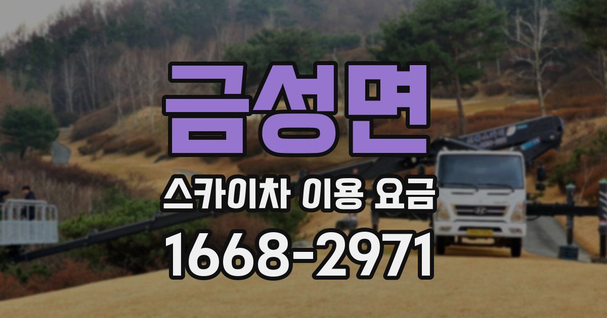 금성면 스카이차 이용 요금