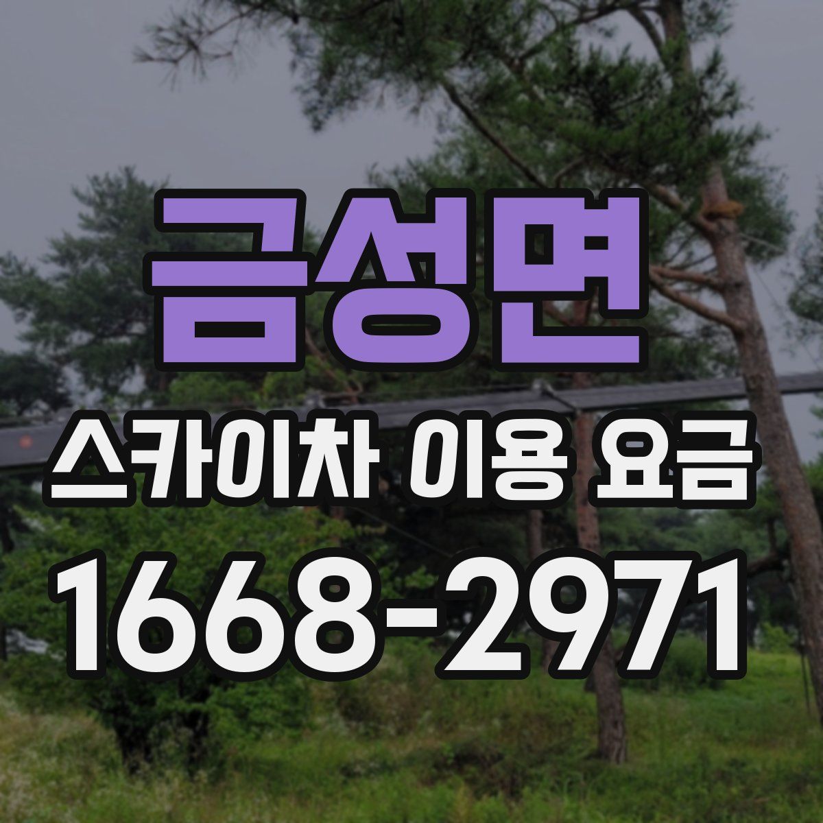 금성면 스카이차 이용 요금