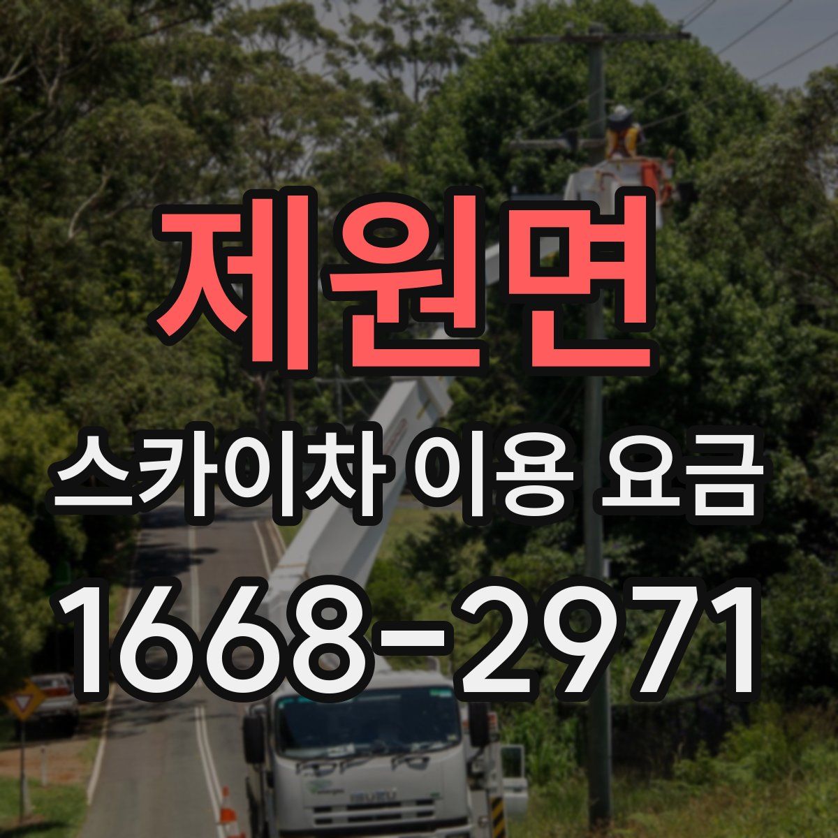 제원면 스카이차 이용 요금