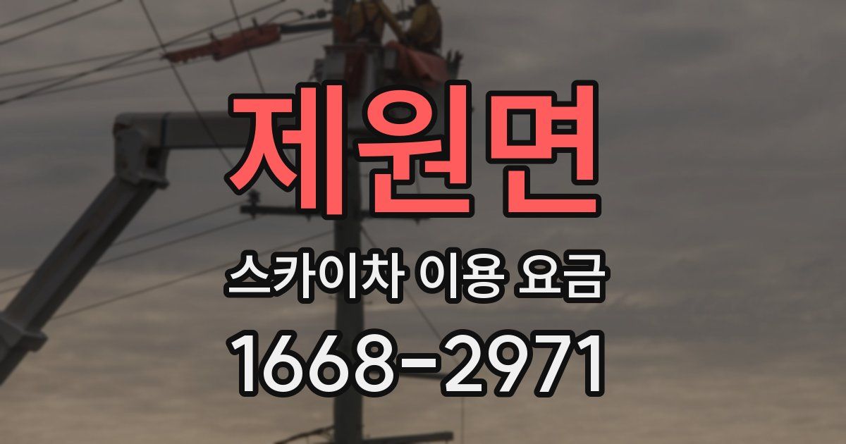 제원면 스카이차 이용 요금